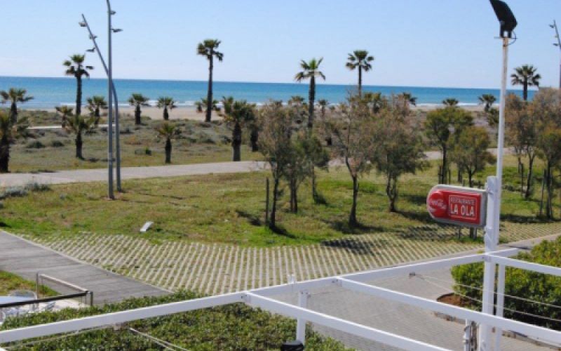 Vista de la playa y palmeras desde una de las habitaciones