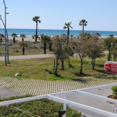 Vista de la playa y palmeras desde una de las habitaciones