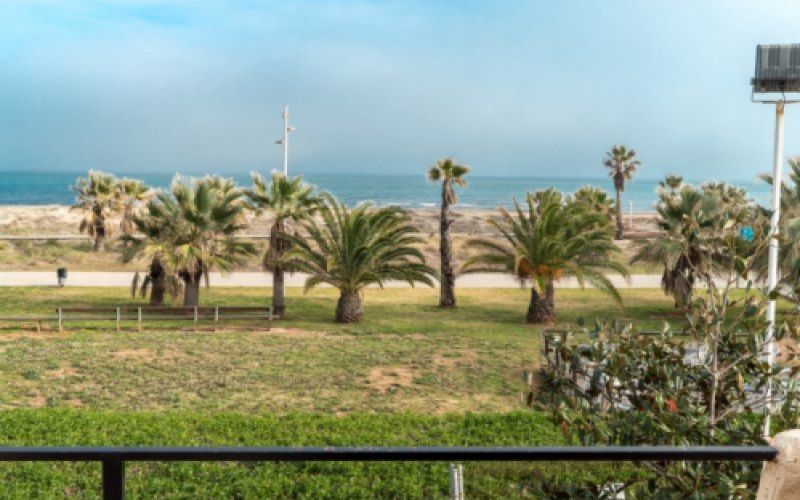 Vista cercana de la playa con palmeras desde un balcón del alojamiento