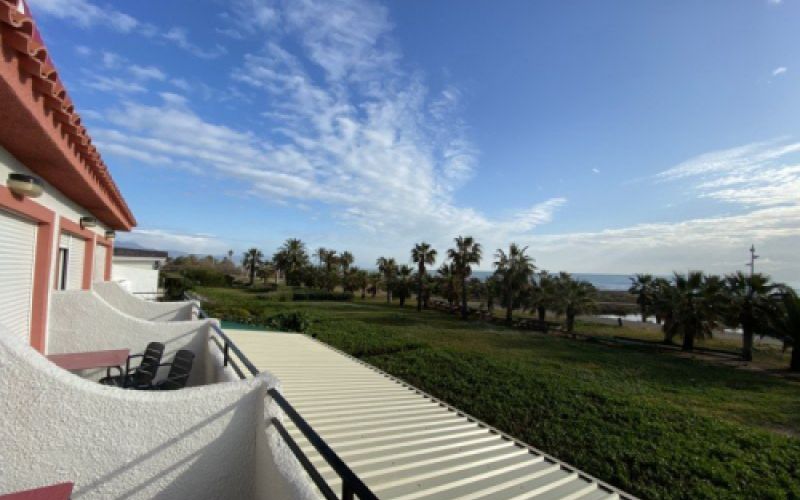 Vista del mar al fondo, seto y el paseo marítimo con palmeras desde el balcón de una habitación en zona superior