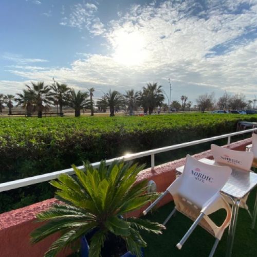 Vista desde la terraza al atardecer con palmeras y el mar al fondo