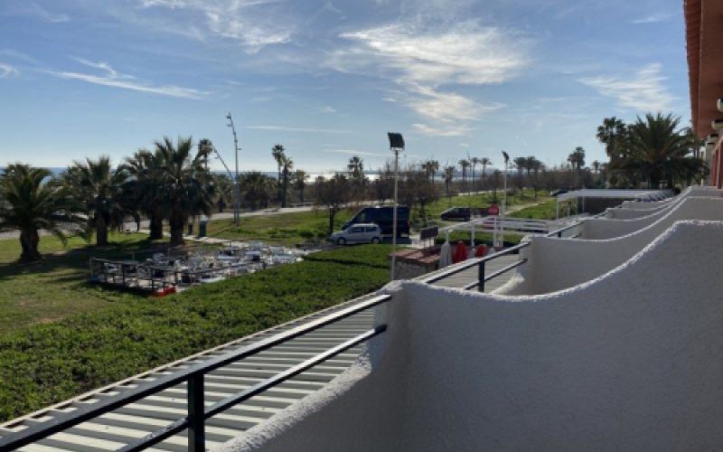 Vista a la playa y paseo marítimo con palmeras desde una terraza del alojamiento