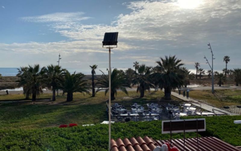 Vista de las palmeras y la playa desde una de las terrazas de las habitaciones