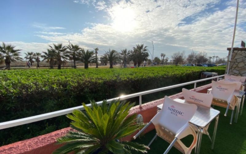 Vista desde la terraza al atardecer con palmeras y el mar al fondo