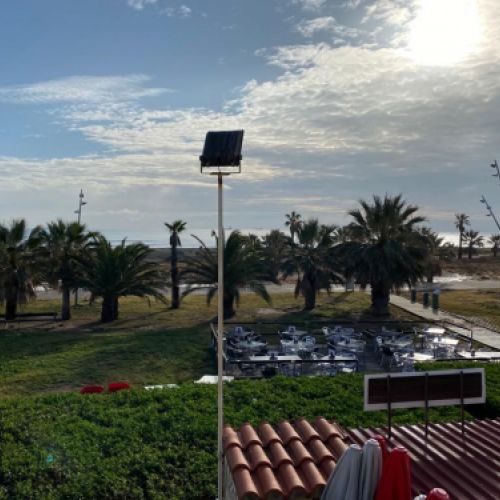 Vista de las palmeras y la playa desde una de las terrazas de las habitaciones