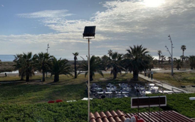 Vista del paseo marítimo con palmeras y la playa al fondo al atardecer